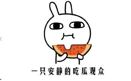51抖音黑料吃瓜网,吃瓜网带你探秘网络舆论风云